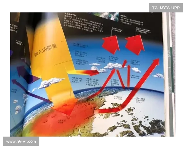 优化DK宏技术应用研究的实践策略与发展建议